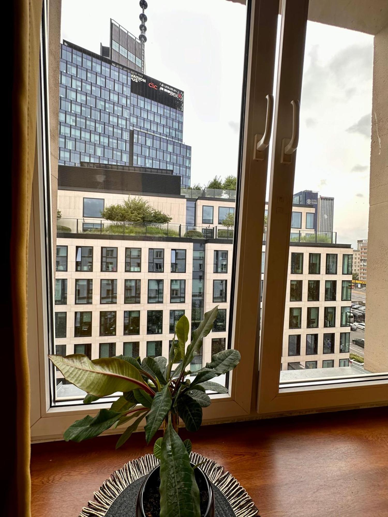 Africa Apartment Varşova Dış mekan fotoğraf